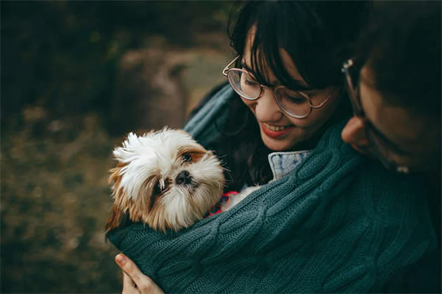 犬が傷口を舐めるのはなぜ？リスクと正しい対処法を徹底解説